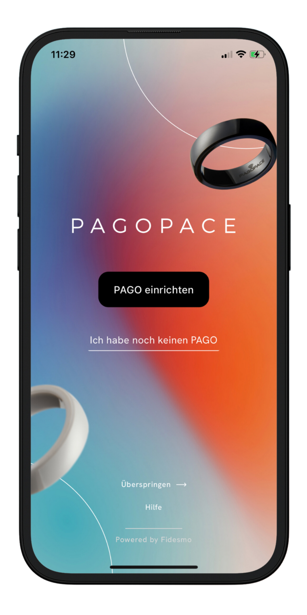 Web-App Entwicklung